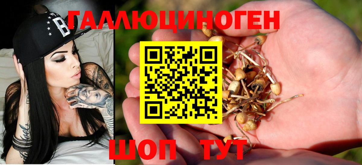 Псилоцибиновые грибы Psilocybe Назарово